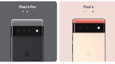 Google Pixel 6 Pro Pixel 6