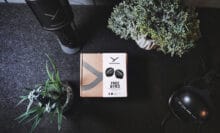 beyerdynamic Free Byrd Test