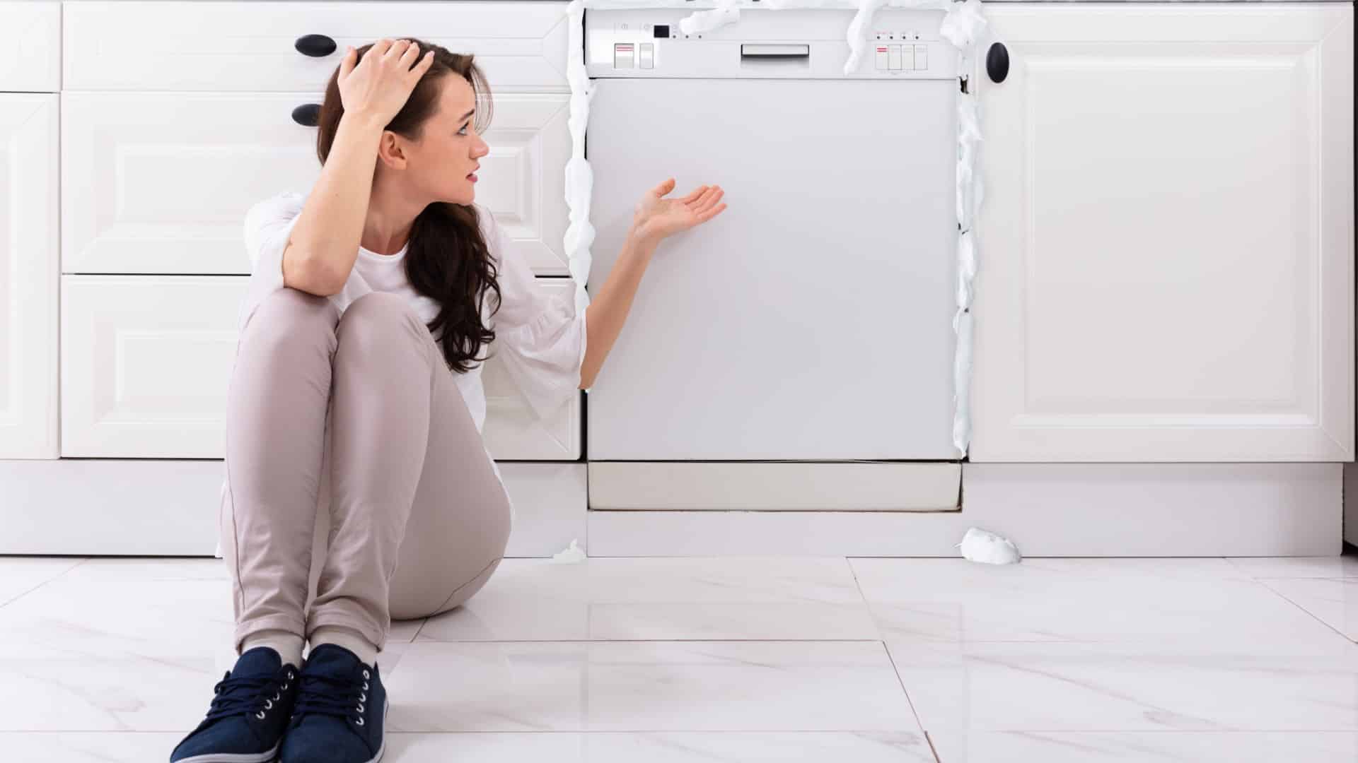 Siemens Geschirrspüler Fehler E15 Titelbild