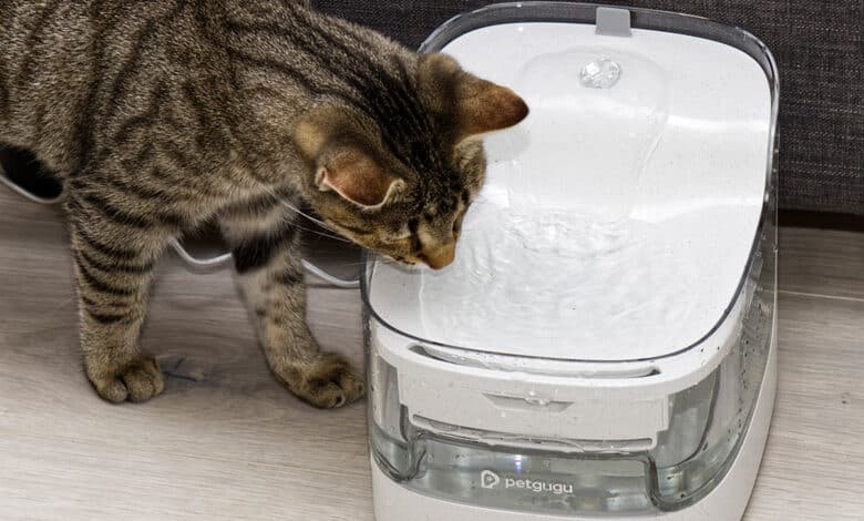 Petgugu Pet Water Fountain PF1 Test