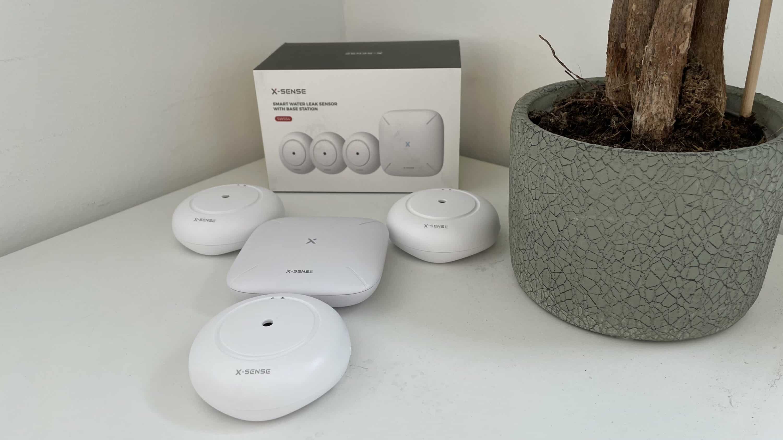 x-sense wassermelder test