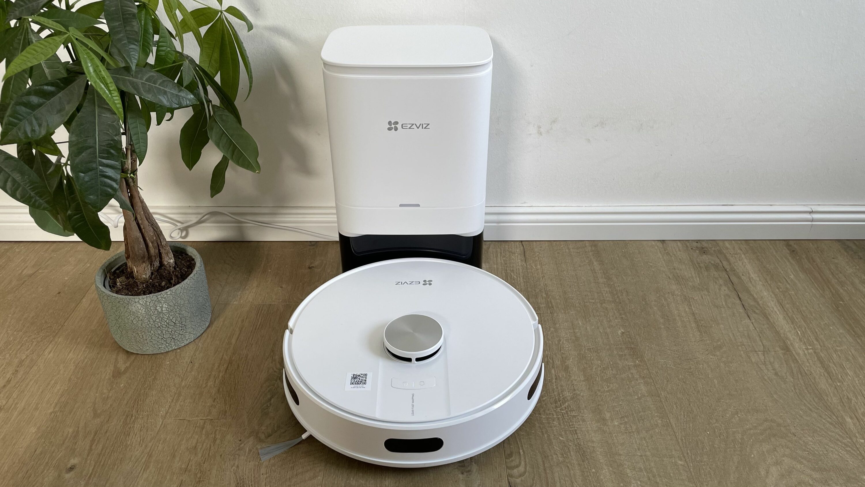 beste Saugroboter 2024