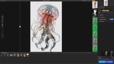 Aiarty image matting