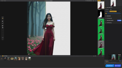 Aiarty image matting