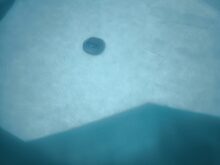 ... and yet the end result is convincing!