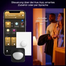 Philips hue devote