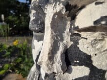 Samsung Galaxy Z Fold7