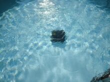 The water surface also moves during the cleaning process.