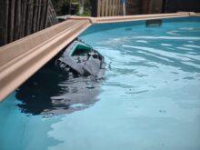 The walls are also cleaned.