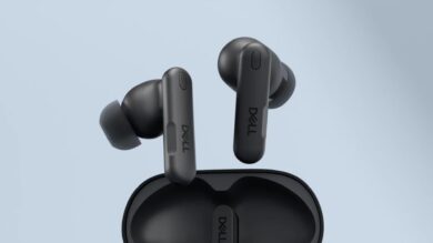 Dell Pro Plus Earbuds
